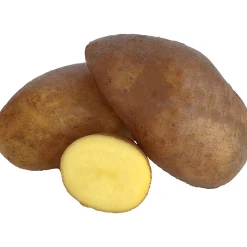 Sättpotatis Mandel Höst 500g>LPM Online