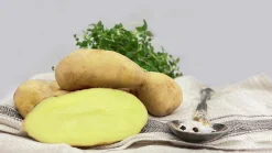 Sättpotatis Mandel Höst 15kg>LPM Discount