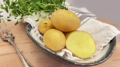 Sättpotatis Princess Sommar 3kg><noscript><img width=