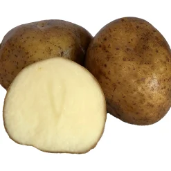 Sättpotatis Rocket Vår 15kg>LPM Sale