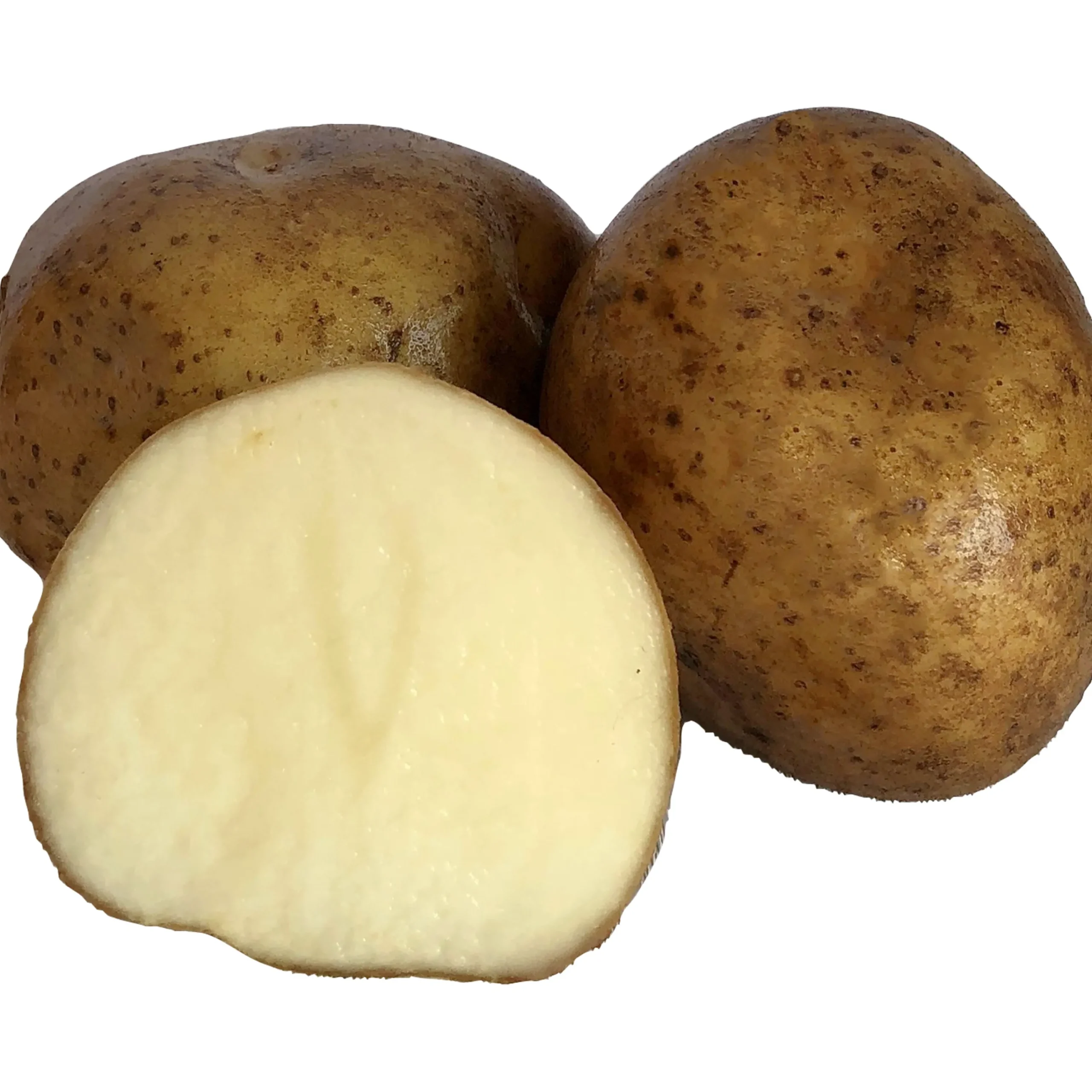 Sättpotatis Rocket Vår 15kg>LPM Sale