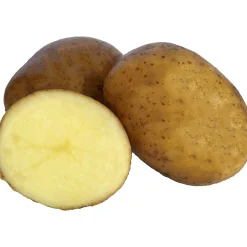 Sättpotatis Solist Vår 3kg>LPM Sale