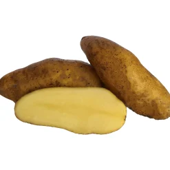 Sättpotatis Sparris Asperges Höst 500g><noscript><img width=