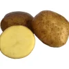 Sättpotatis Swift Vår 15kg>LPM Best