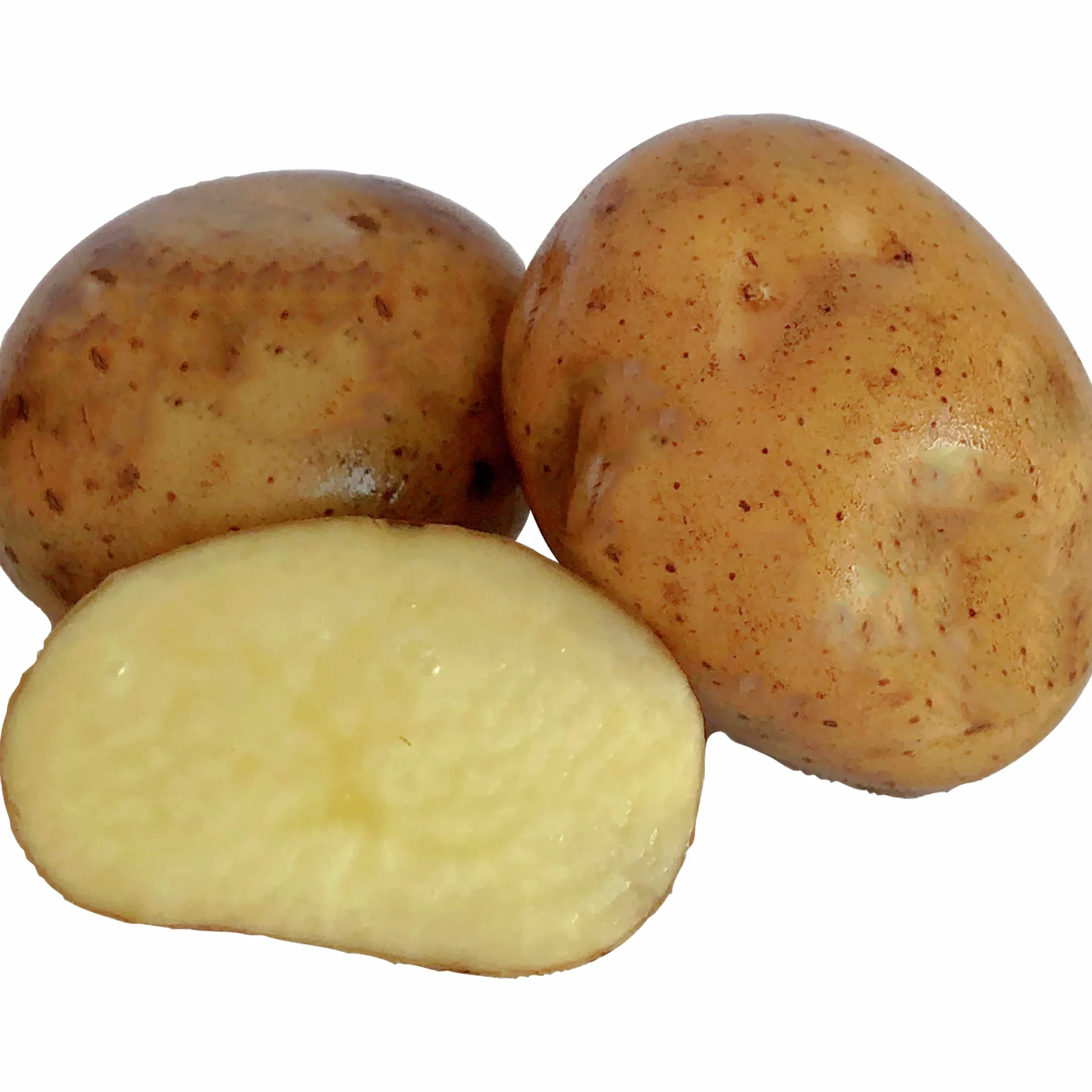 Sättpotatis Timo Vår 2kg>LPM Online