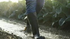 Stövel Steplite X utan stålhätta Mörkgrön 39><noscript><img width=