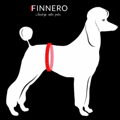 Tikkydd Baerina>Finnero Best