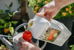 Tomatnäring 1500ml>Nelson Garden Outlet