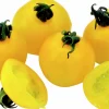 Tomatplantor Sortmix>Danblumen Outlet