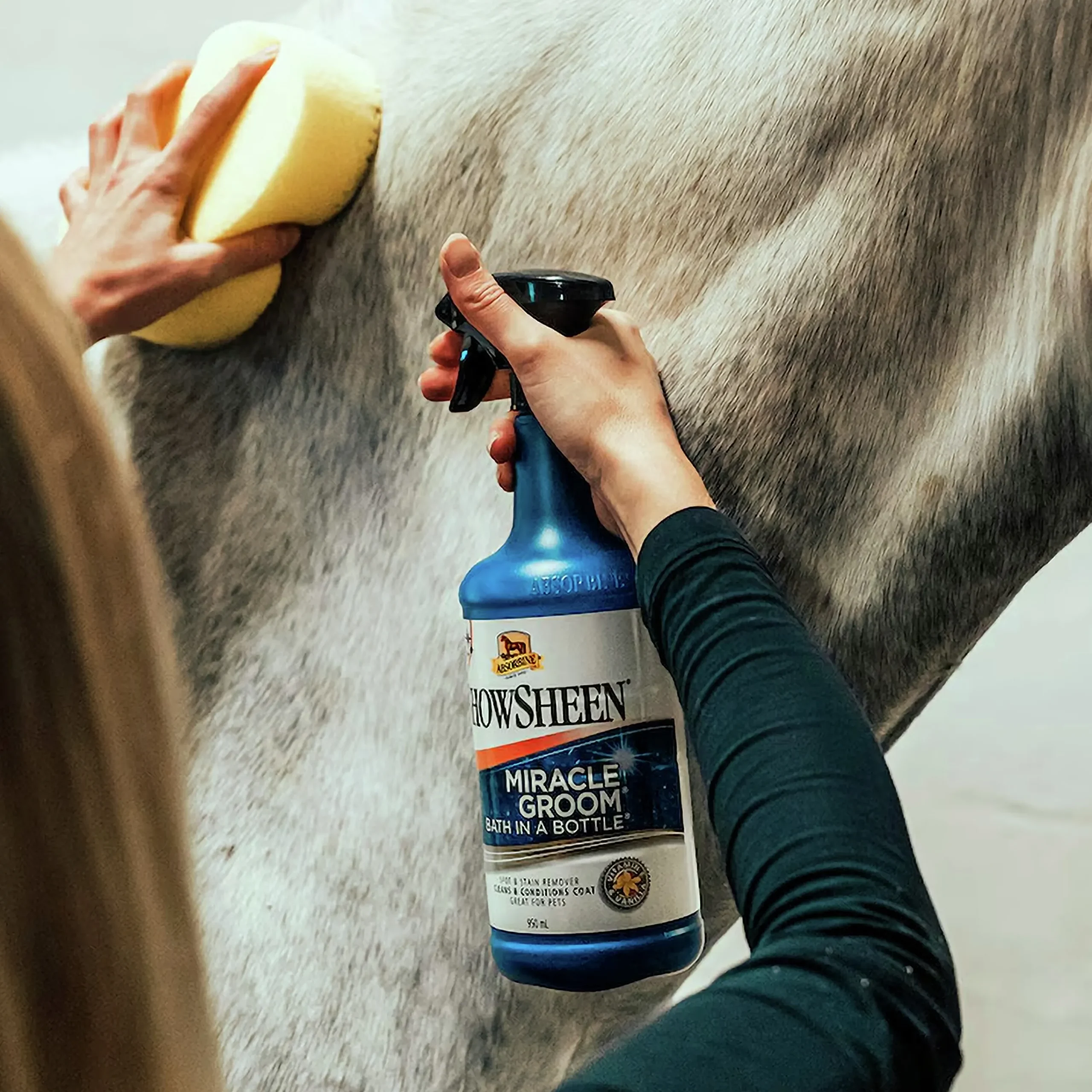 Torrschampo Miracle groom 950ml>Absorbine Online