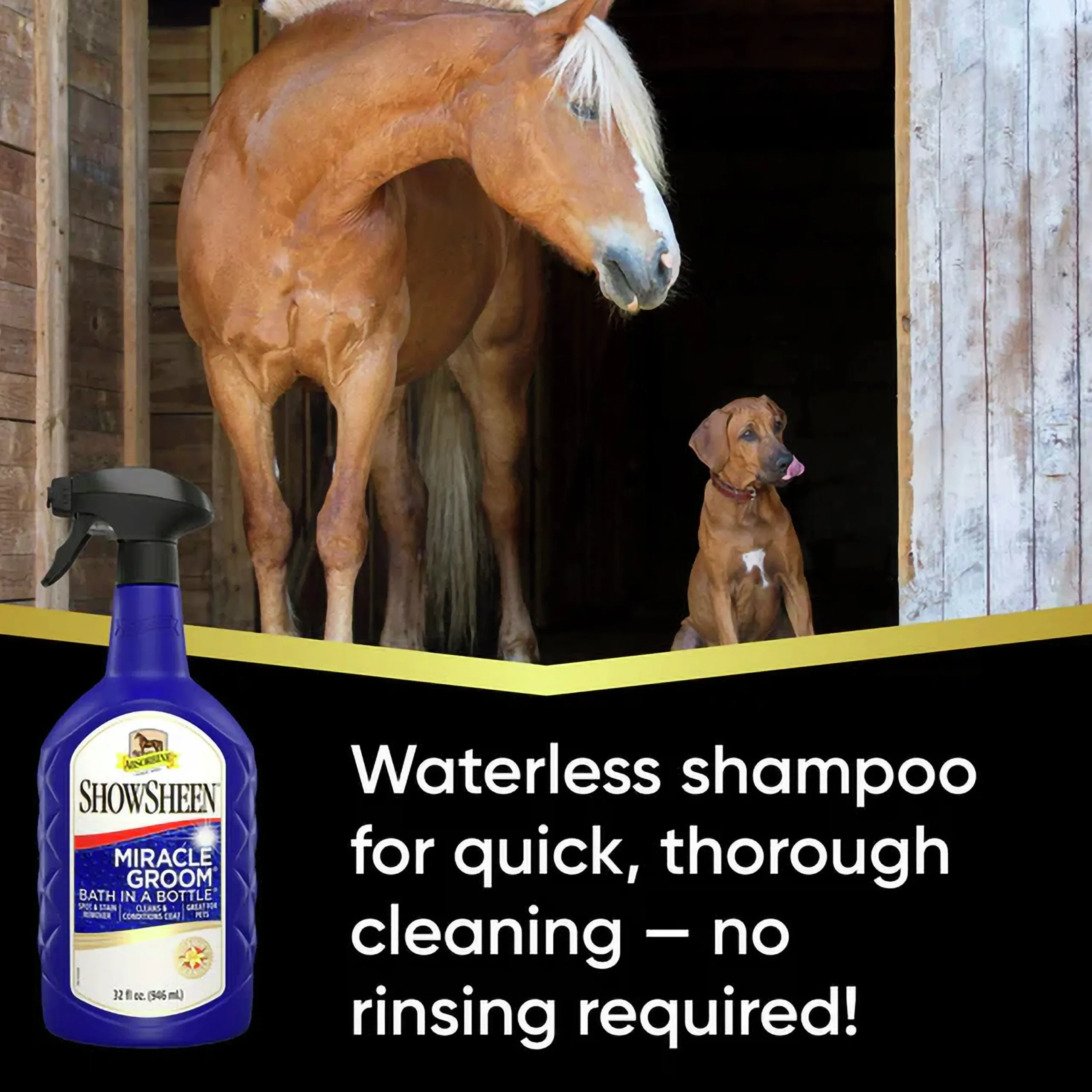 Torrschampo Miracle groom 950ml>Absorbine Online