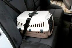 Transportbur Expedition Creme/Vit S 45x30x30cm><noscript><img width=