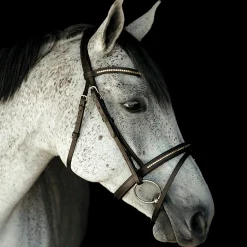 Träns Clincher Aachen><noscript><img width=