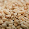 Träströ Pellets 5L>Peewee Best
