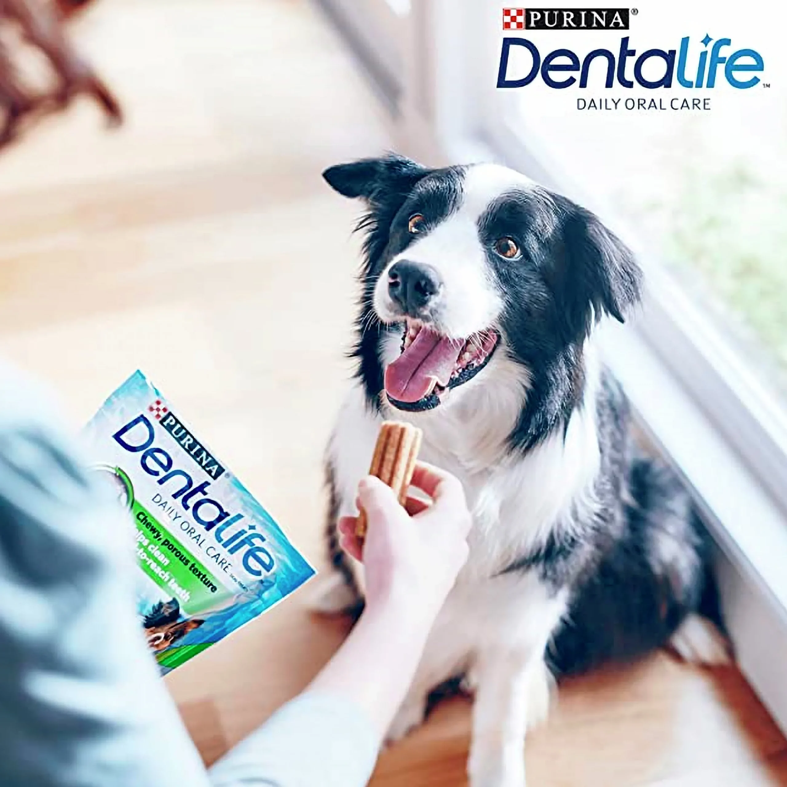 Tuggpinnar DentaLife M 24-p>Purina