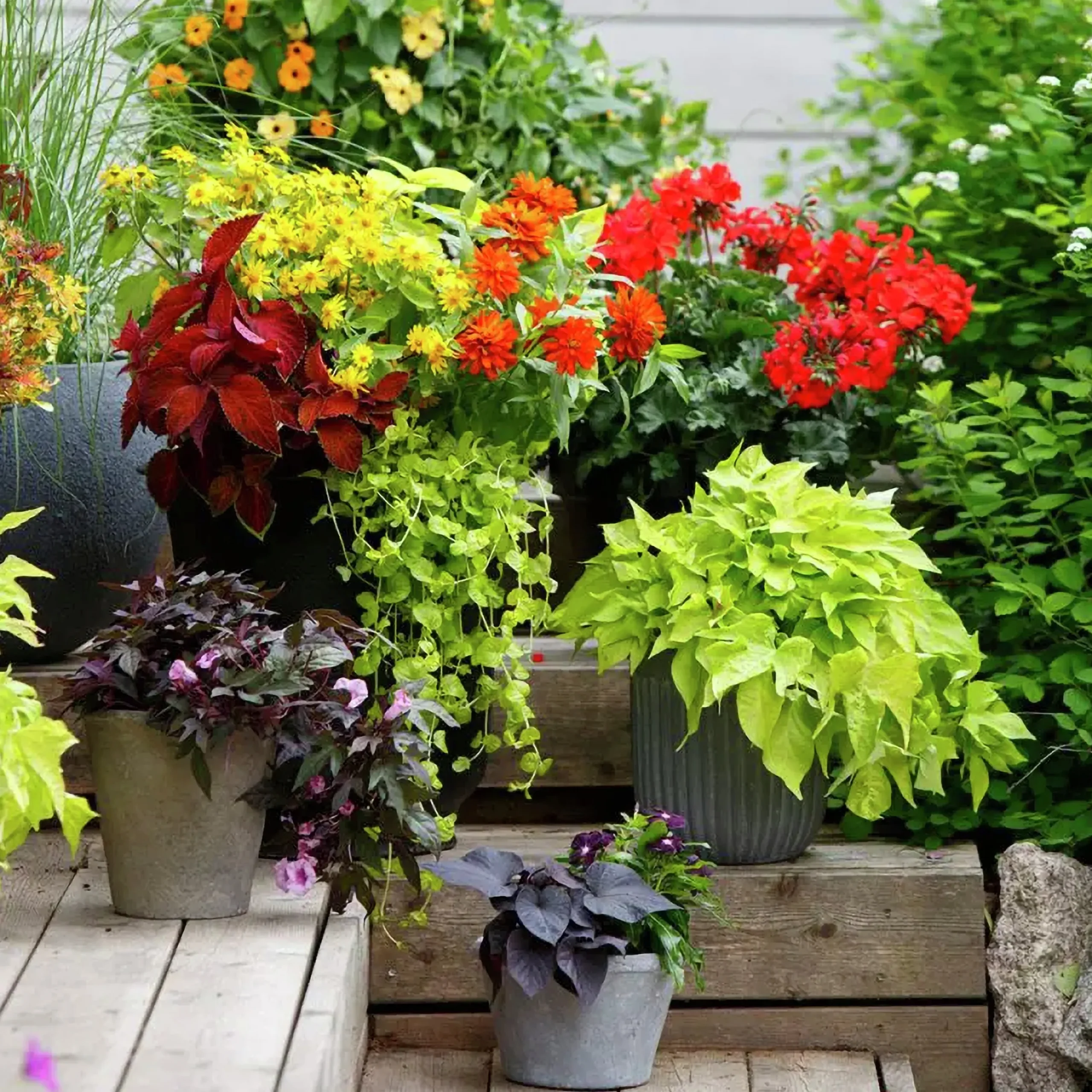 U-Jord Urnjord & Krukjord Hasselfors 15L>Hasselfors Garden Discount