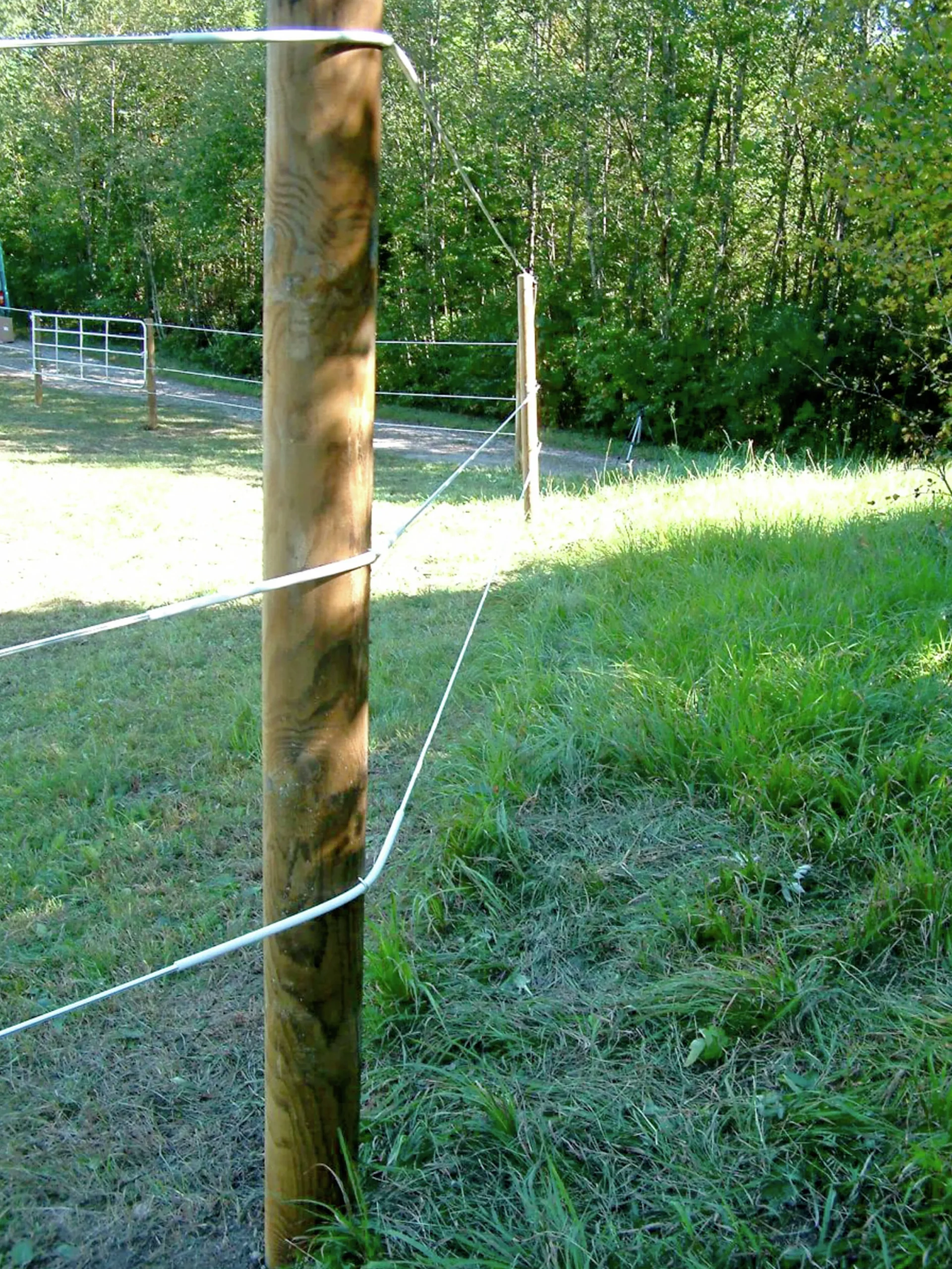 Vajertråd TopLine Horse Wire Vit Ø6mmx200m>Kerbl Hot