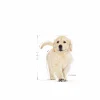 Valpfoder Golden Retriver Puppy 12kg>Royal Canin Outlet