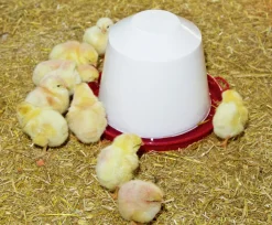 Vattenautomat Höns Plast Vit/Röd 3,5L>Kerbl Online