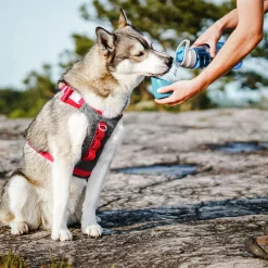Vattenflaska Hund Blå 750ml><noscript><img width=