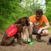 Vattenflaska Hund Grön 750ml>Kurgo Online