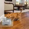 Vattenfontän Drinkwell Plast Grå 1,8L>Petsafe