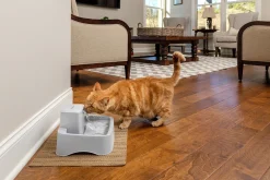 Vattenfontän Drinkwell Plast Grå 1,8L>Petsafe