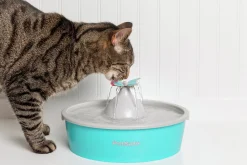 Vattenfontän Drinkwell Fjäril Plast Turkos/Grå 1,5L>Petsafe