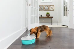 Vattenfontän Drinkwell Fjäril Plast Turkos/Grå 1,5L>Petsafe