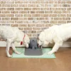 Vattenfontän Drinkwell Plast Grå 7,5L>Petsafe