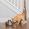 Vattenfontän Seaside Rostfri 1,7L>Petsafe Online