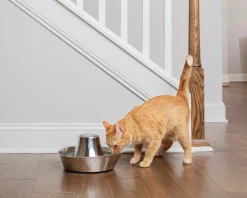 Vattenfontän Seaside Rostfri 1,7L>Petsafe Online
