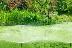 Vattenspridare PipeLine Pop-up Sprinkler SD80><noscript><img width=