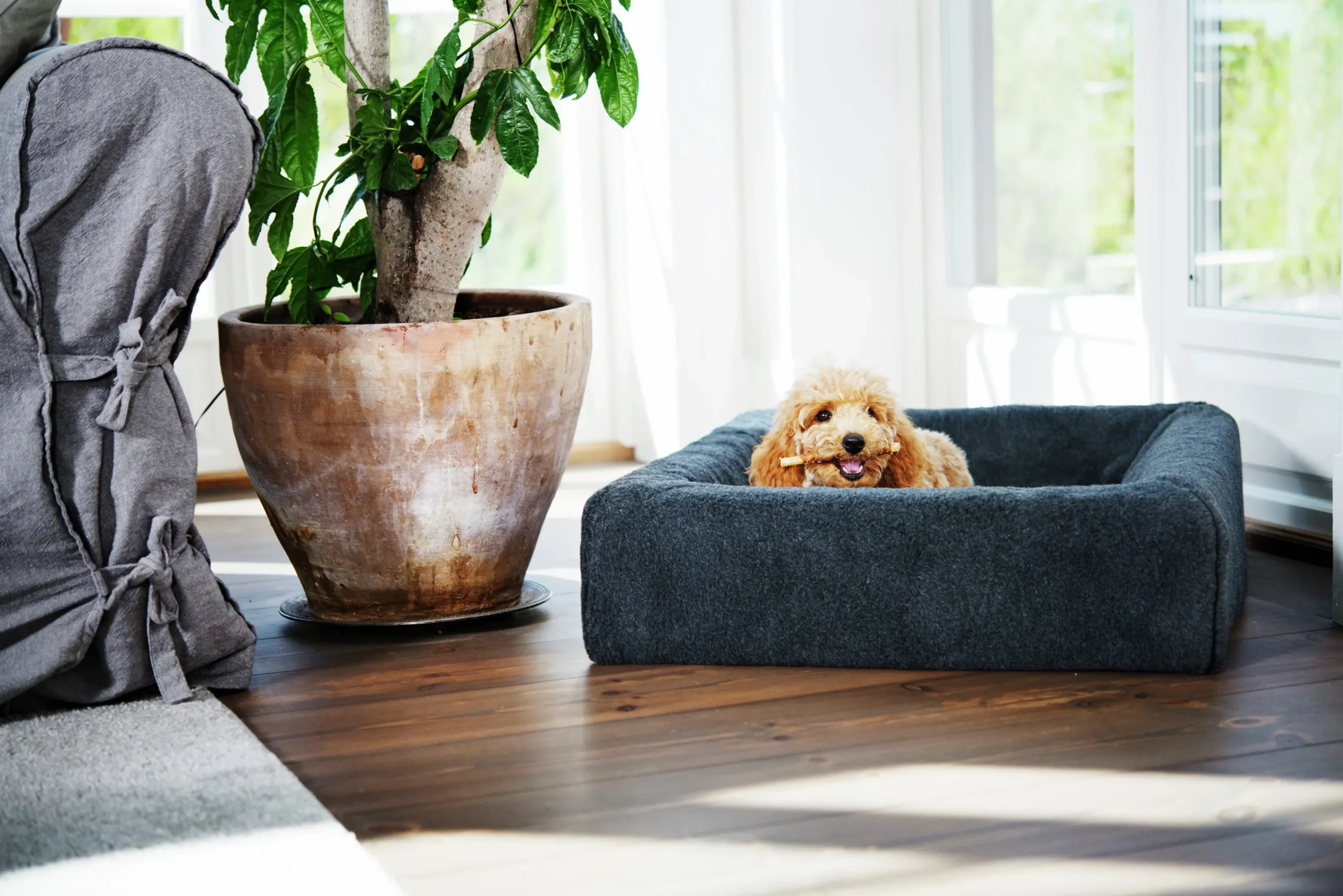 Överdrag Pile Grå>Bia bed Outlet