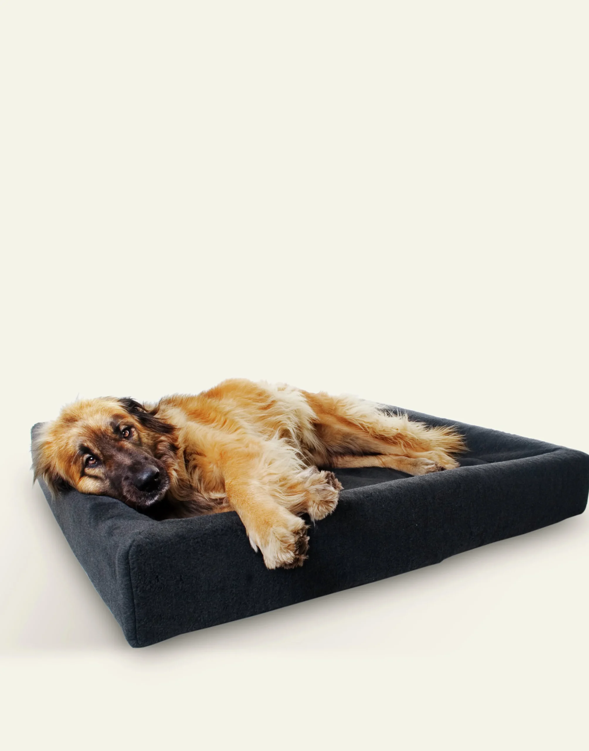 Överdrag Pile Grå>Bia bed Outlet