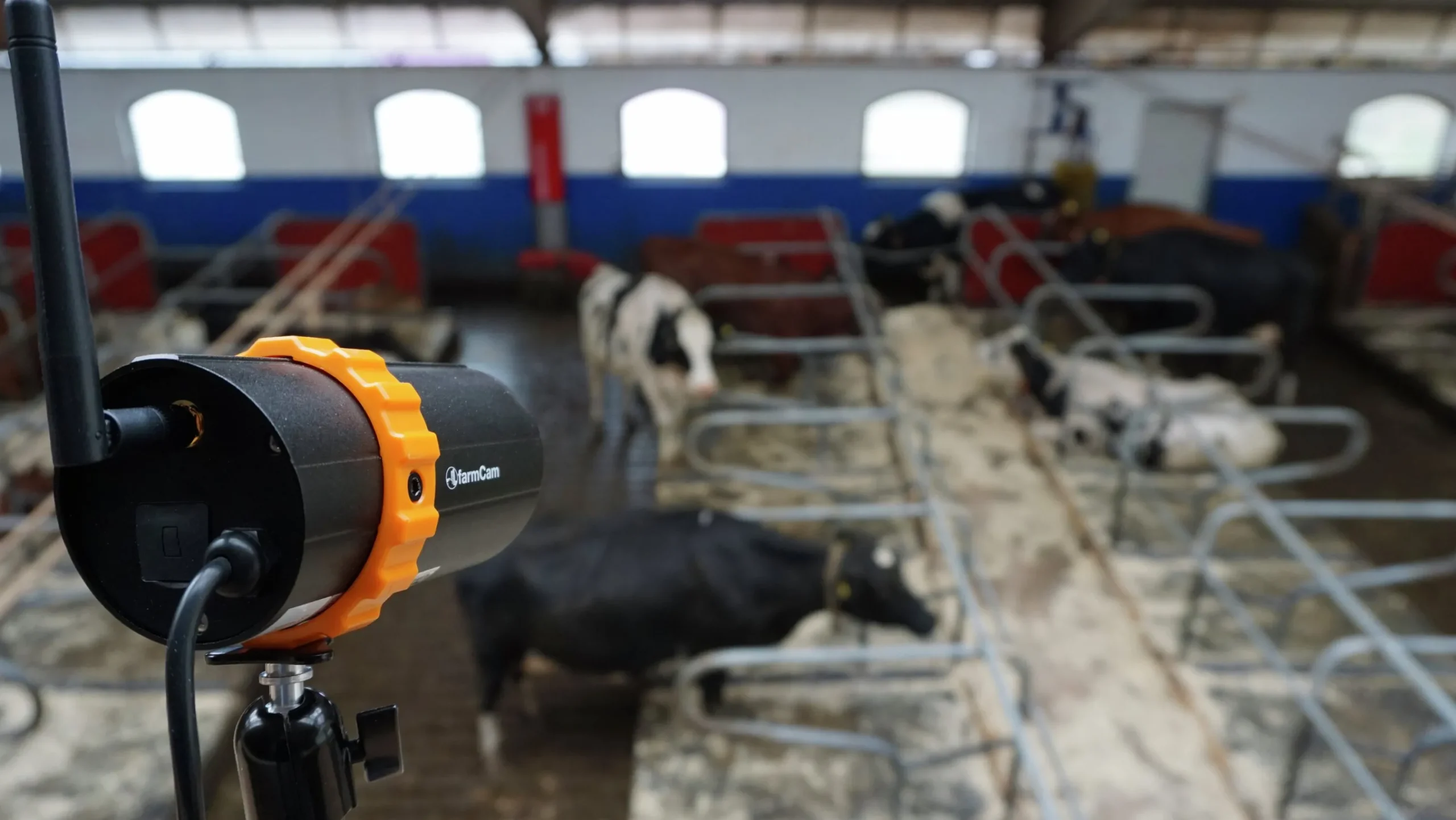 Övervakningskamera FarmCam IP2>Luda.Farm Discount