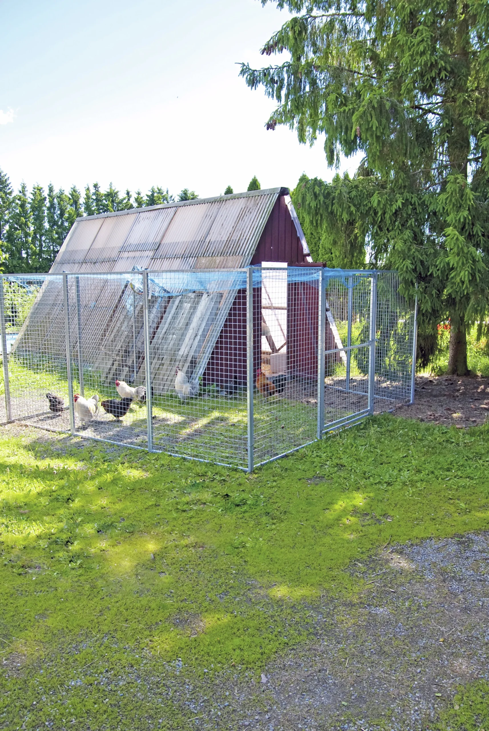 Väggsektion till hundgård 120x180cm>Halsäng Stängsel Clearance