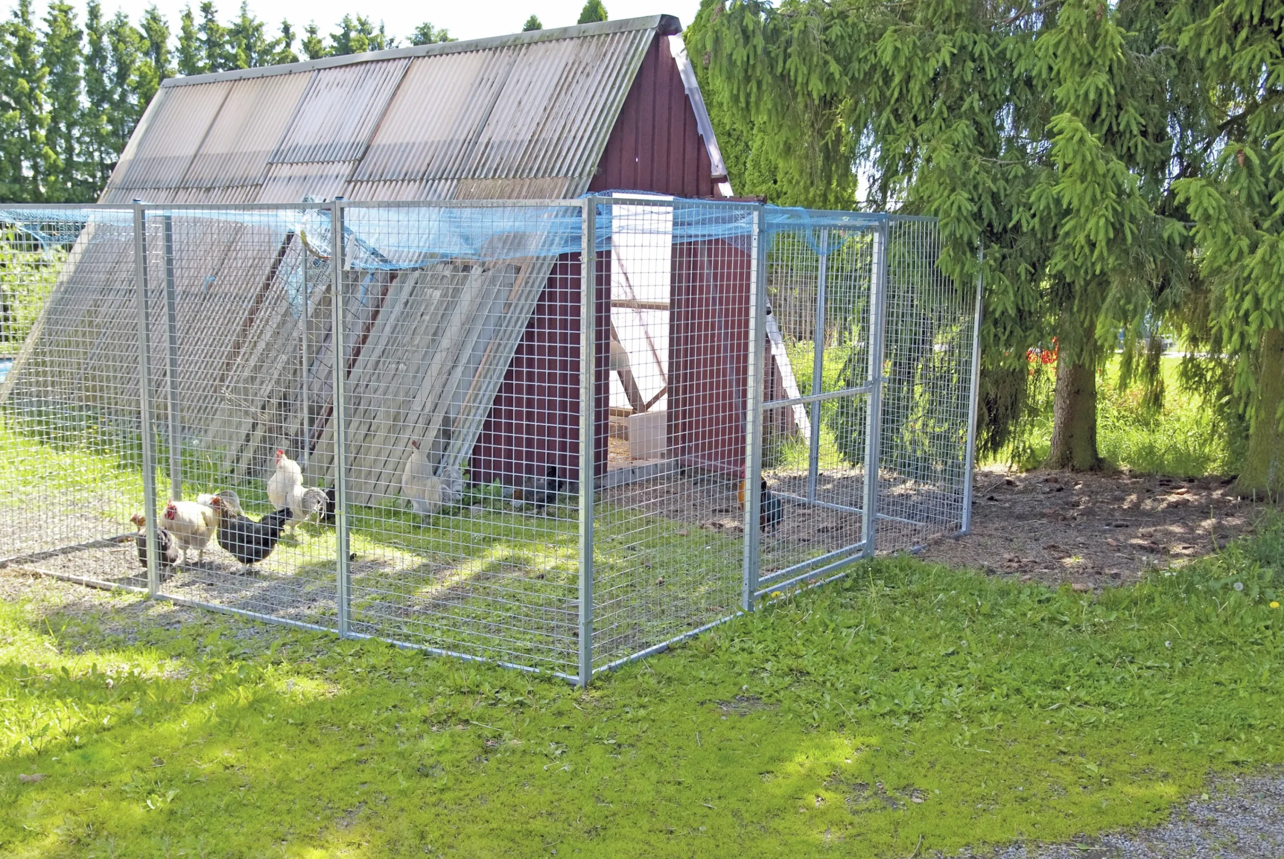 Väggsektion till hundgård 120x180cm>Halsäng Stängsel Clearance
