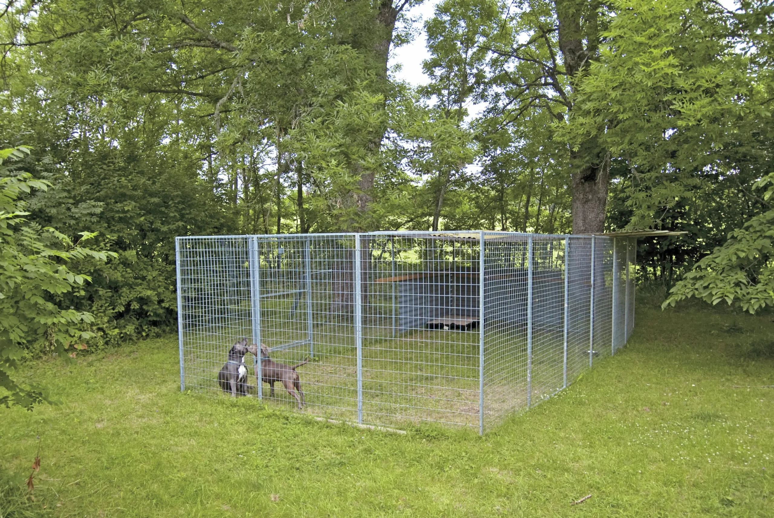 Väggsektion till hundgård 120x180cm>Halsäng Stängsel Clearance
