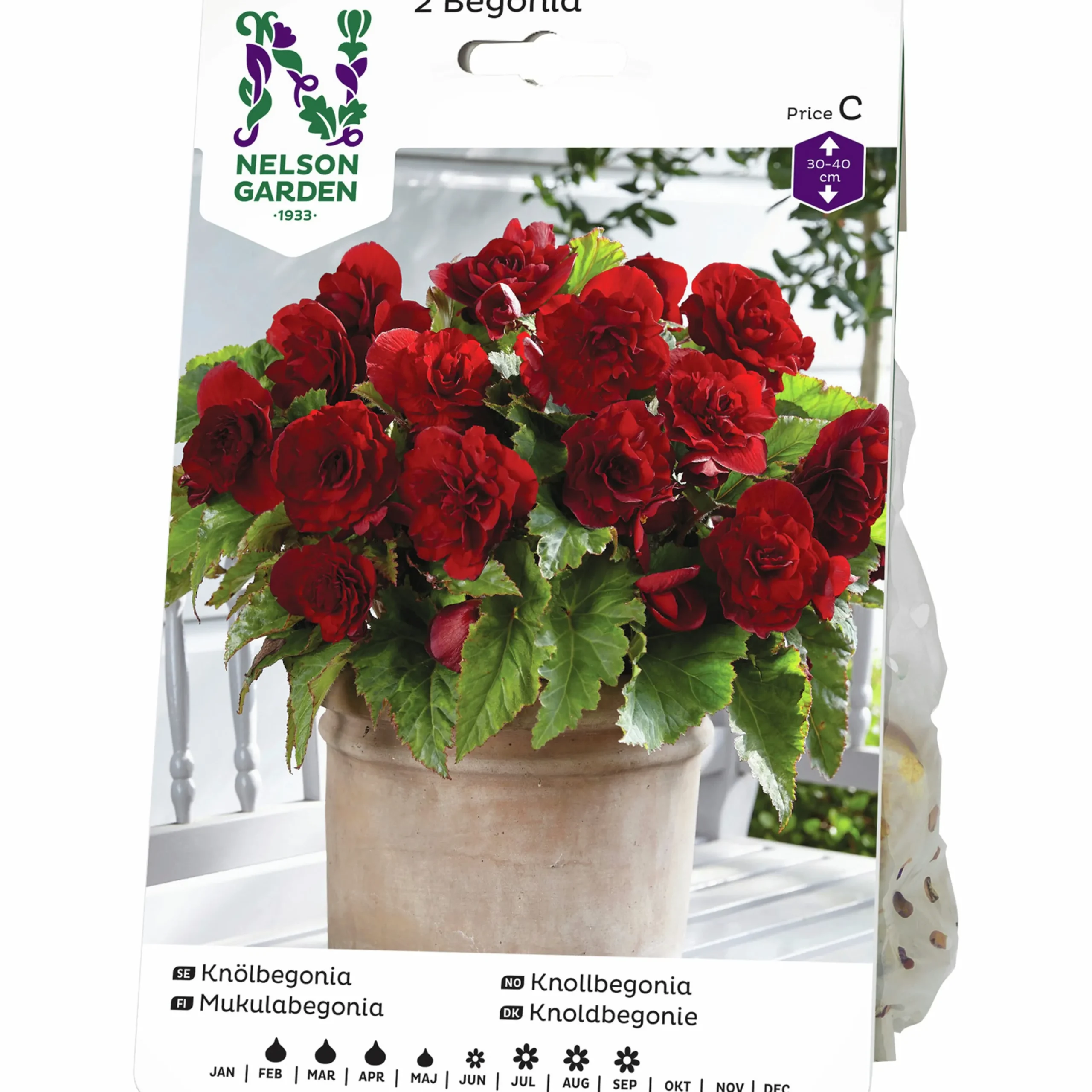Vårlök Begonia Dubbel Storblommig Röd>Nelson Garden Hot