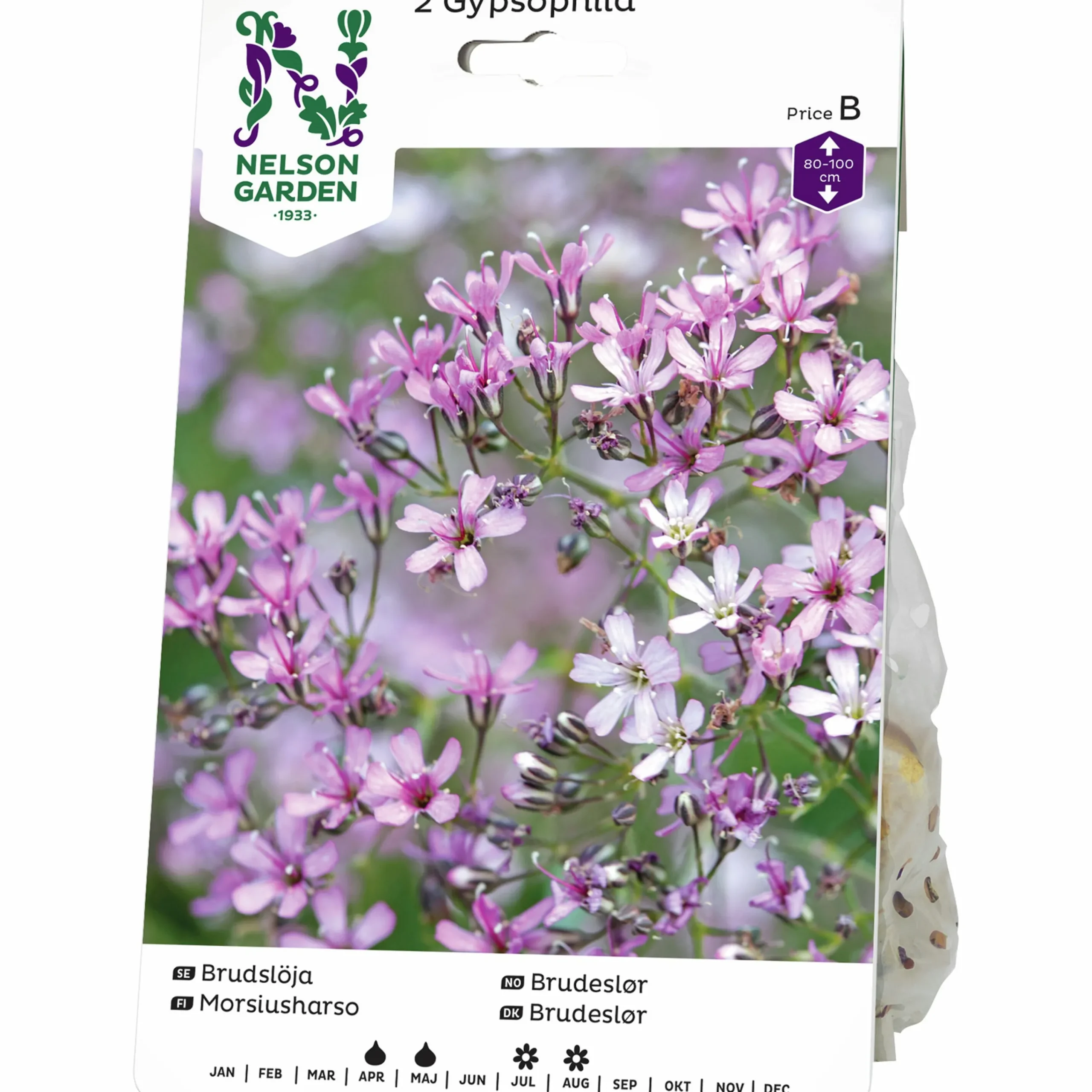 Vårlök Brudslöja Gypsophila paniculata Lila>Nelson Garden Outlet