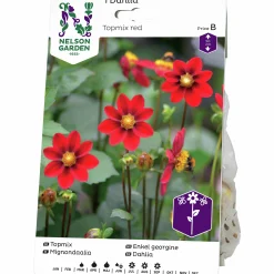 Vårlök Dahlia Enkel Låg Topmix Röd>Nelson Garden Sale