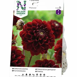 Vårlök Dekorativdahlia Hög Manoa Vinröd><noscript><img width=