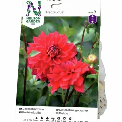 Vårlök Dekorativdahlia Låg Heatwave Röd>Nelson Garden Discount