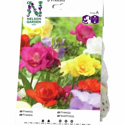 Vårlök Freesia Dubbel Blandade färger>Nelson Garden Online