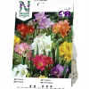 Vårlök Freesia Enkel Blandade färger>Nelson Garden Outlet