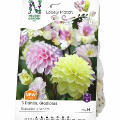 Vårlök Gladiolus Dahlia Rebecka's Dream>Nelson Garden Clearance