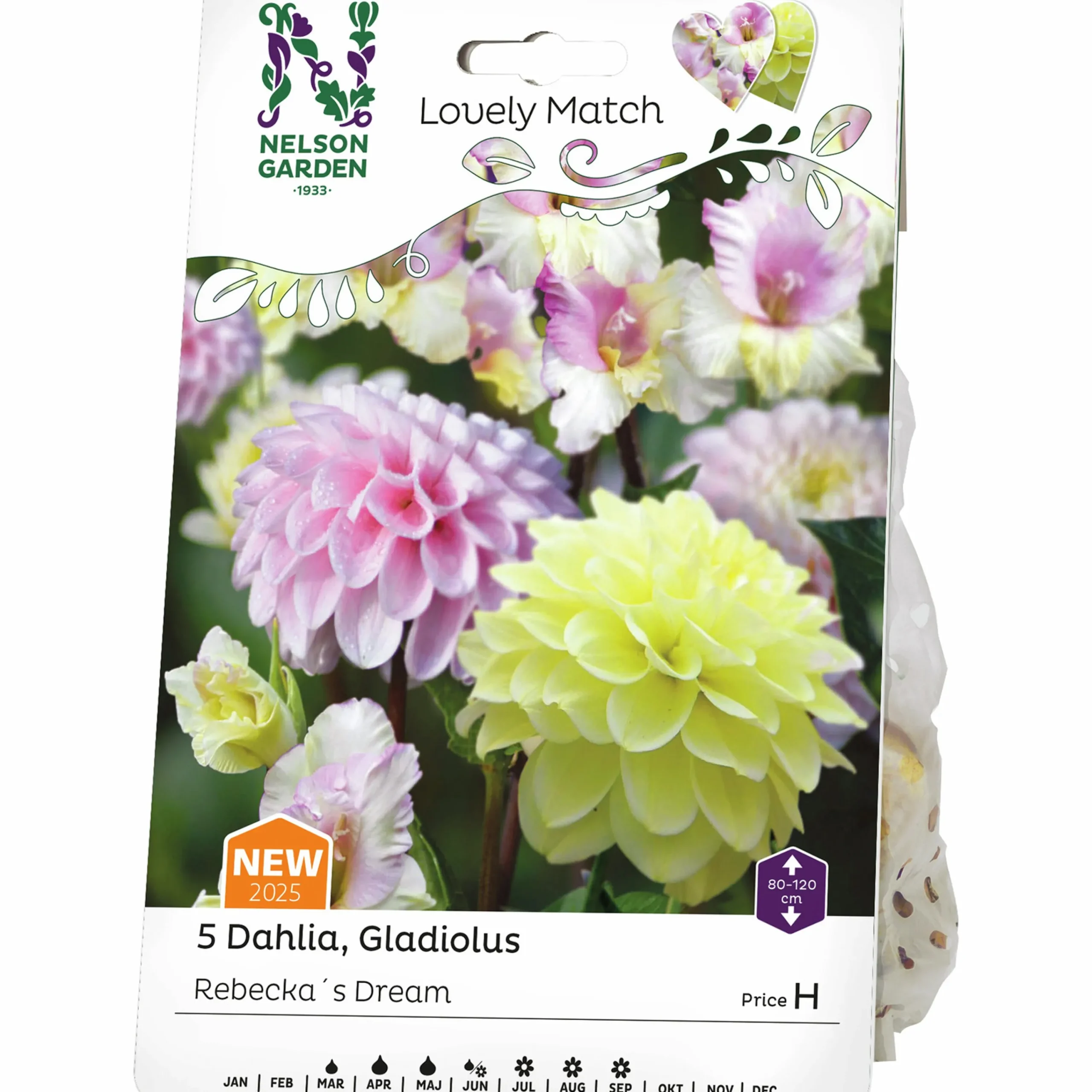 Vårlök Gladiolus Dahlia Rebecka's Dream>Nelson Garden Clearance