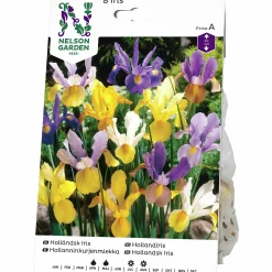 Vårlök Iris Holländsk Blandade färger>Nelson Garden Clearance