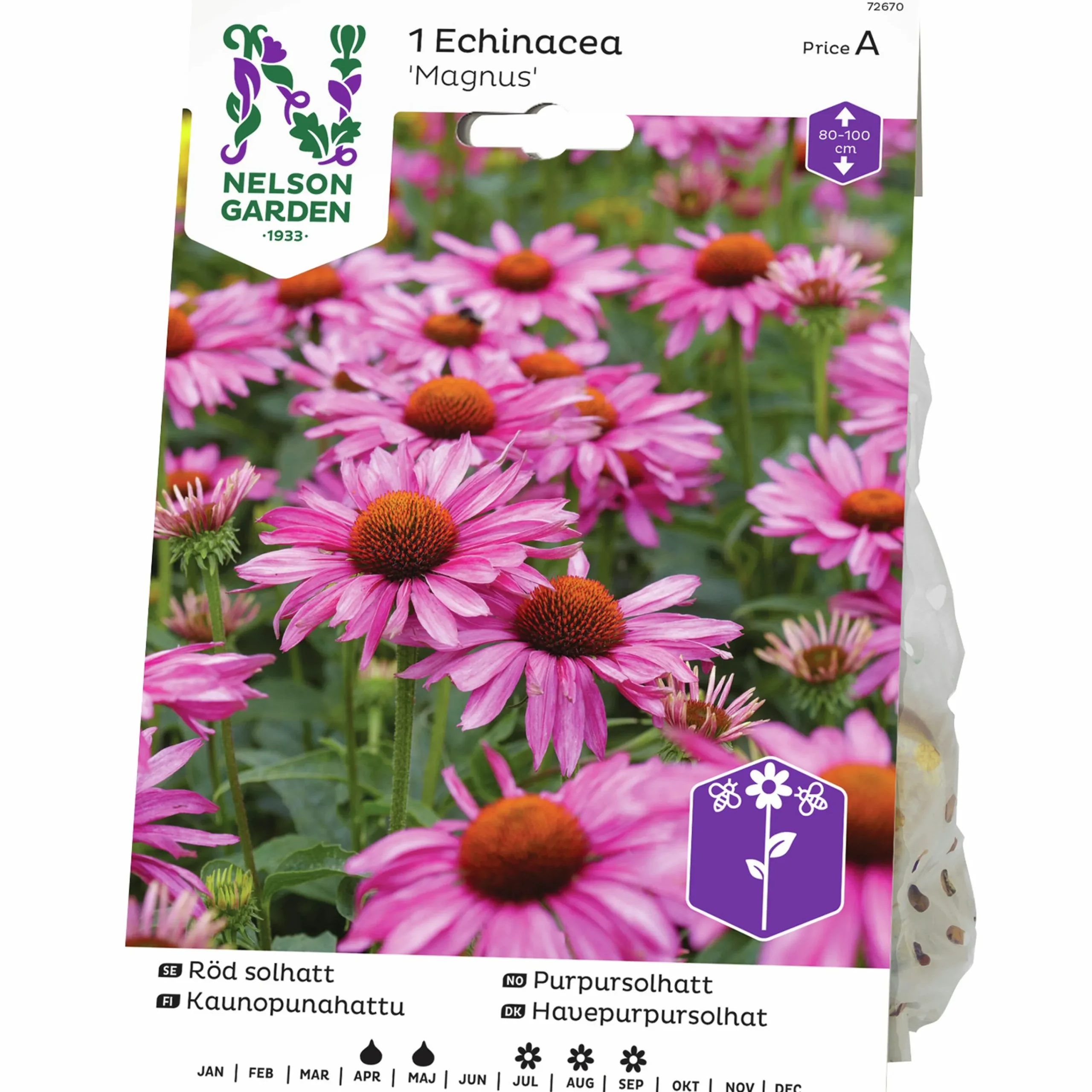 Vårlök Röd Solhatt Echinacea Magnus Rosa>Nelson Garden Online